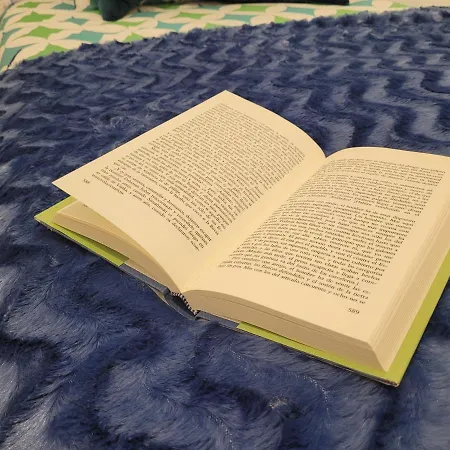 Catedral De Lejlighed León